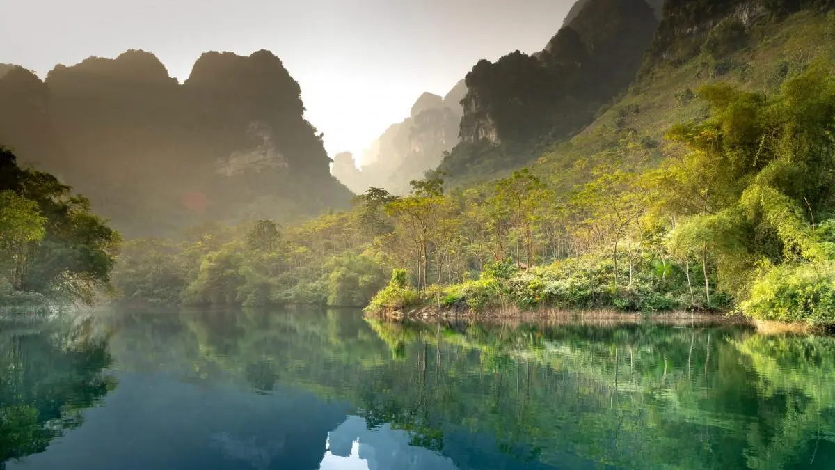 高性能高精度精密